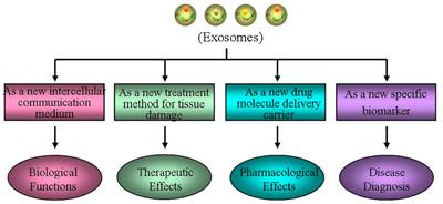 The physiological functions and therapeutic potential of exosomes during the development and treatment of polycystic ovary syndrome